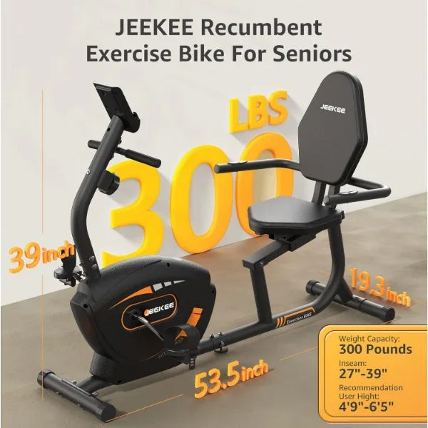 Recumbent Exercise Bike Indoor Magnetic Cycling Home Fitness Equipment Black